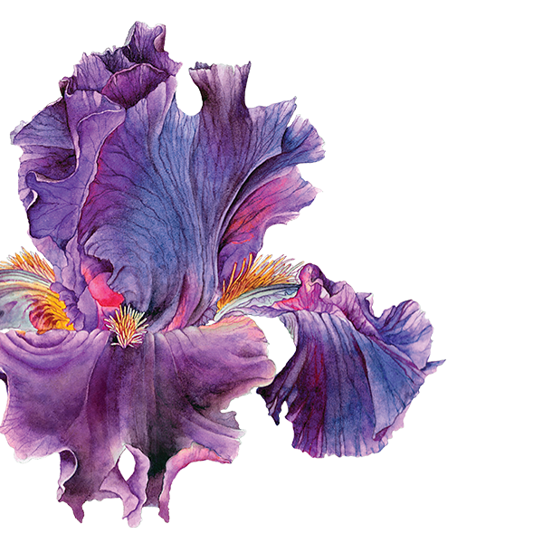 H Bronnley & Co - A touch of contemporary luxury 